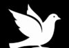 Sister-Dove by Leonore Wilson