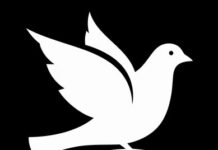 Sister-Dove by Leonore Wilson