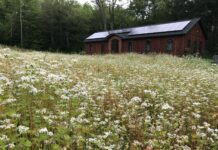 Kindling Our Inner Fire: A Residential Program Where Drug Tapering is the Norm