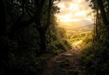 The Keto Diet + Drug Tapering: What Are the Possibilities?