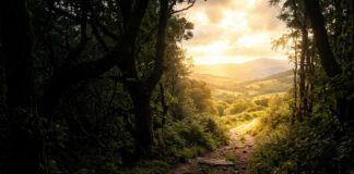 The Keto Diet + Drug Tapering: What Are the Possibilities?