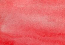 What Psychiatry Missed: My Ferritin Level Was 6